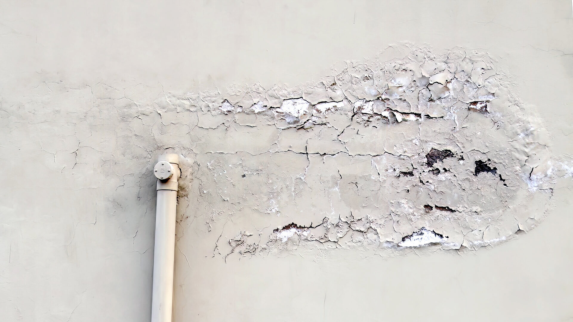 How to Fix Plumbing Leak in Wall: Expert Step-by-Step Guide